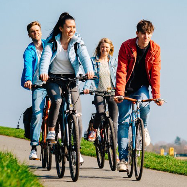 Eine Gruppe von vier Menschen fährt mit dem Fahrrad am Osterdeich